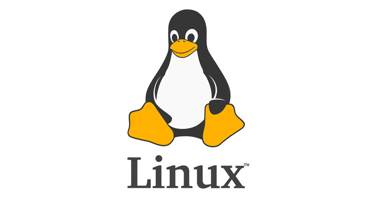 Linux Sunucu Nedir?