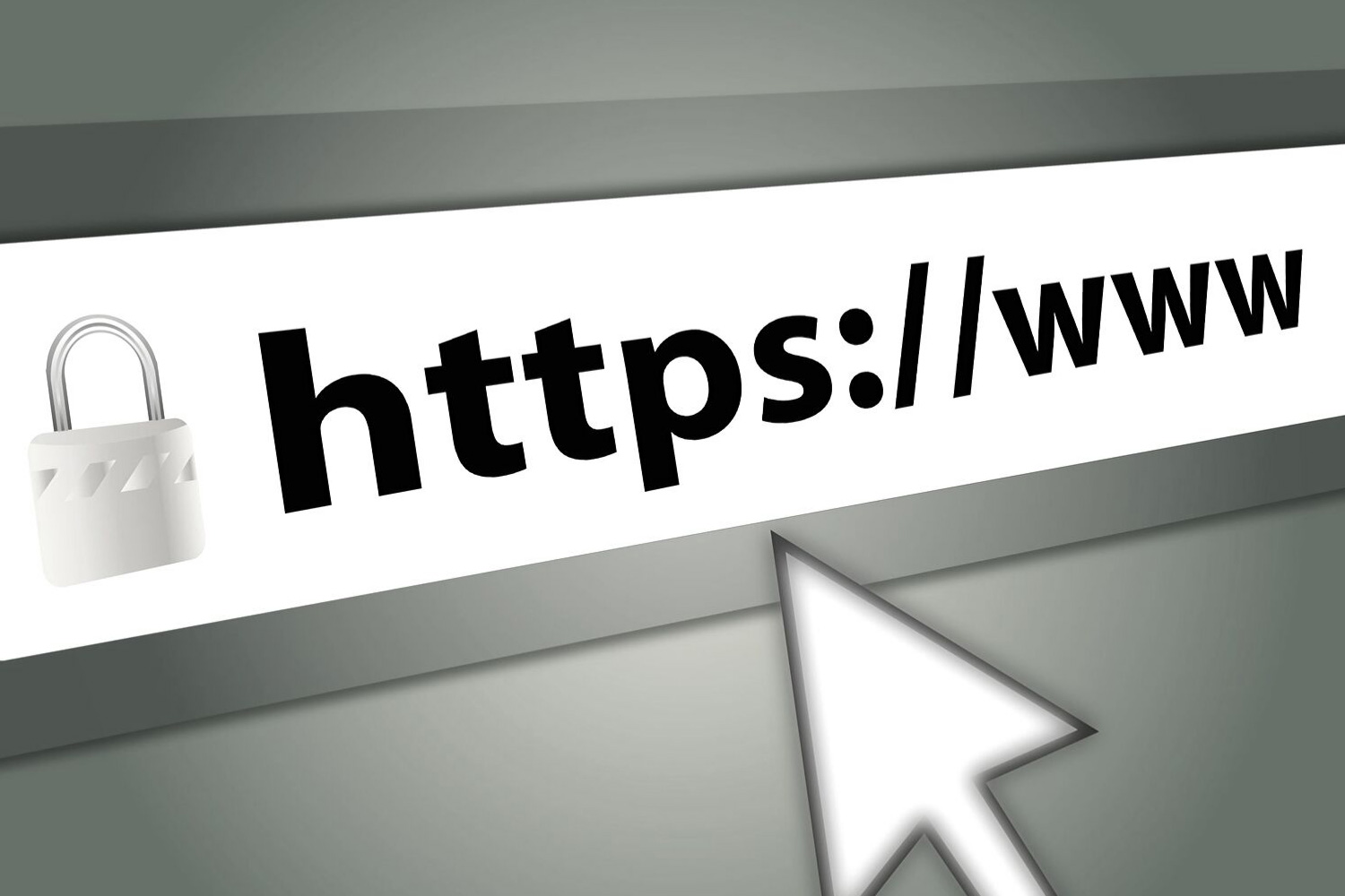 Domain Squatting Nedir?