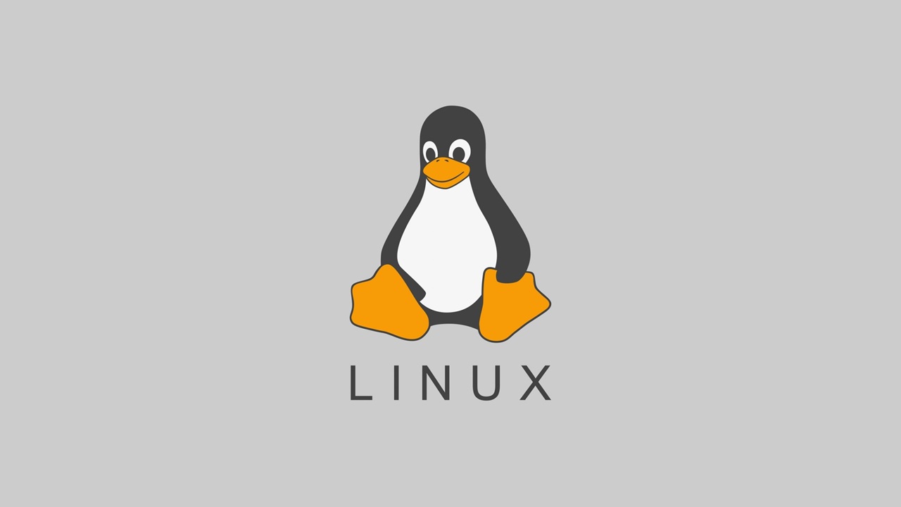 Linux İşletim Sistemi Nasıl Kurulur?