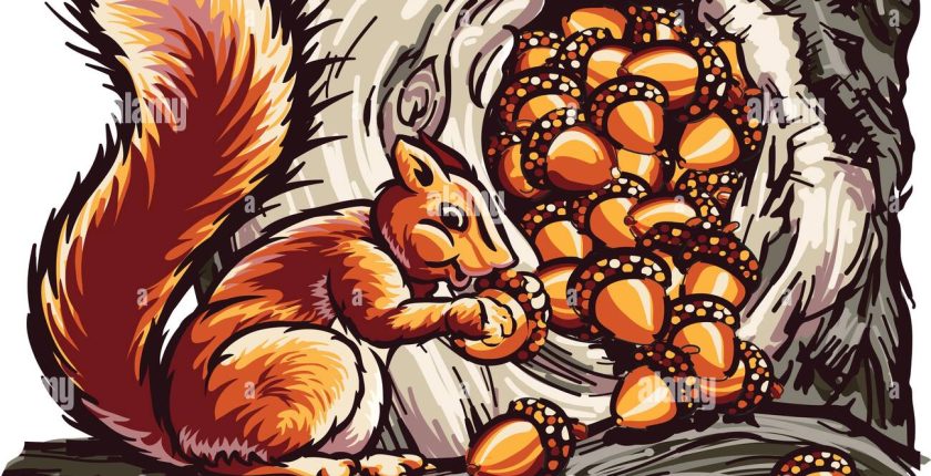 Bencil Sincap Paylaşmayı Öğreniyor